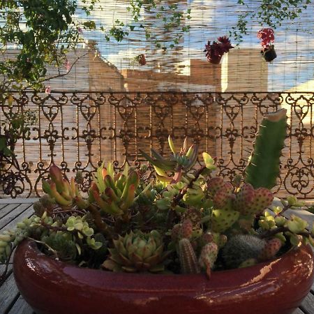 Guest House Europa 12 Seville Ngoại thất bức ảnh